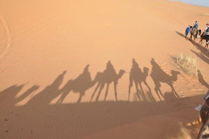 Fes to Fes 2 days via Merzouga desert tour - Key Points
