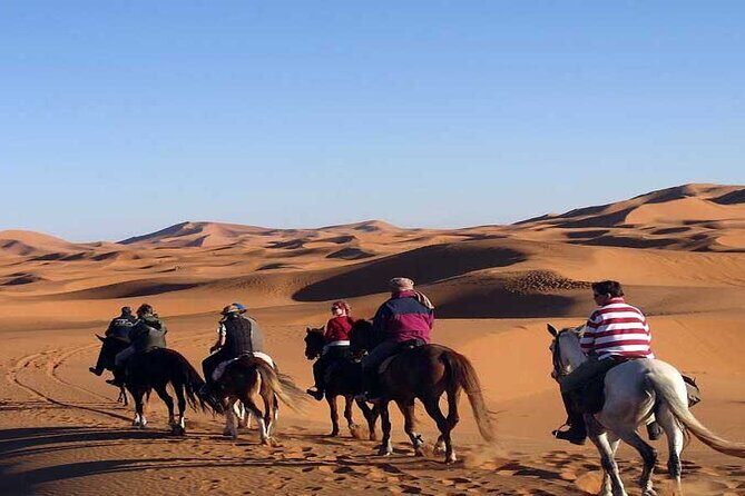 Fes to Fes 2 days via Merzouga desert tour - What’s Included and What’s Not