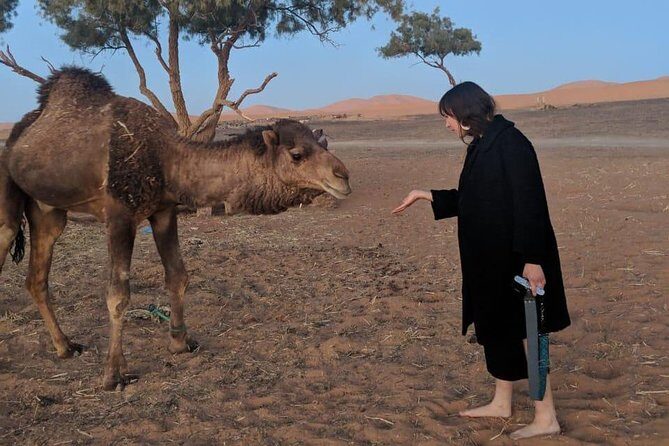 Fes To Fes Desert Tour 3 Days 2 Nights Merzouga - FAQs