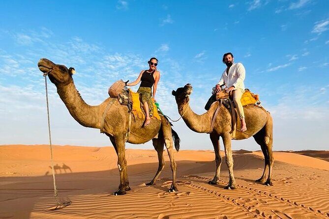 Fes to Fes Private Desert tour 1-night 2-Day Tour luxury camps - Analyzing the Price and Overall Value