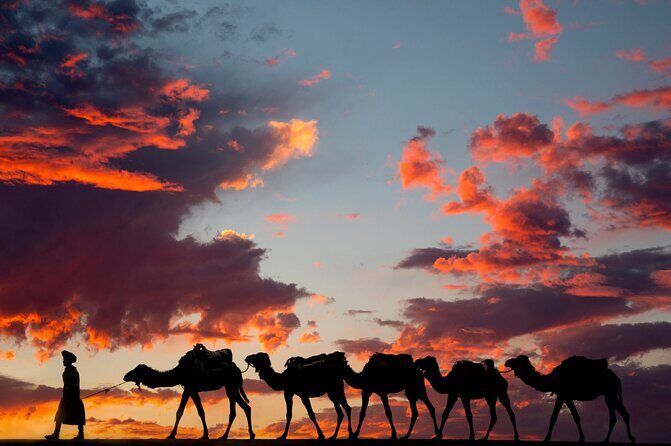 Fes To Marrakech: 3-Day Desert Tour - Who Should Consider This Tour?