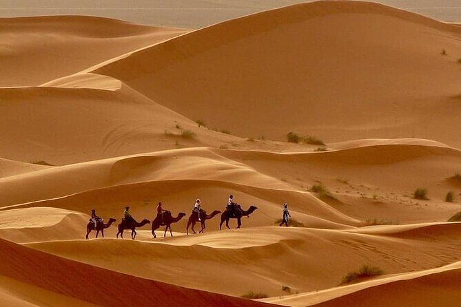 Fes To Marrakech: 3-Day Desert Tour - Final Thoughts