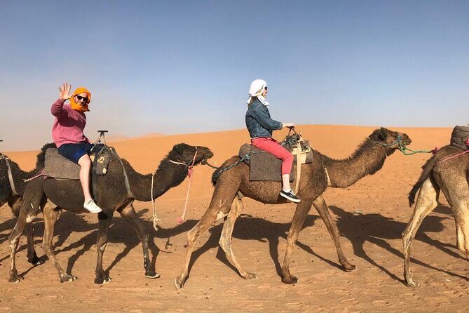 Fes To Marrakech : 3 Days Tour Via The Desert Of Merzouga & Camel - Authentic Experiences Highlighted by Reviewers