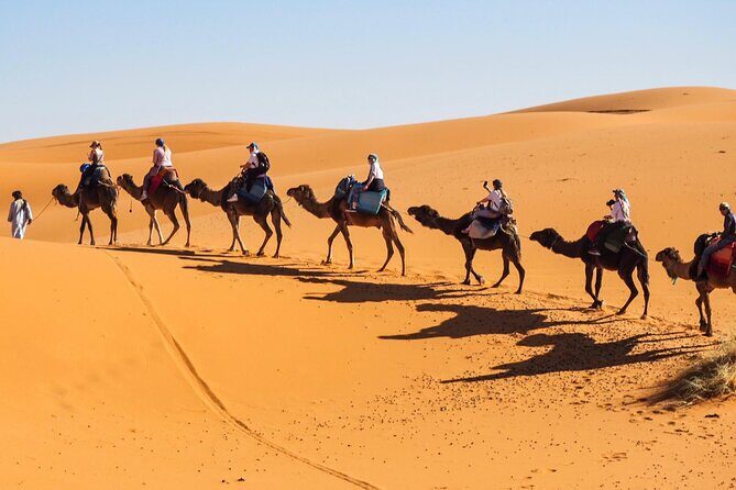 Fes To Marrakech : 3 Days Tour Via The Desert Of Merzouga & Camel - The Sum Up: Who Is This Tour Perfect For?