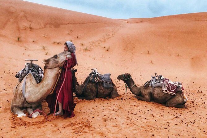 Fes to Marrakech 4 days desert tours - Who Will Love This Tour?
