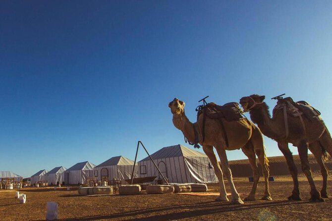 Fes to Marrakech desert tours 3 days - Who Will Love This Tour?