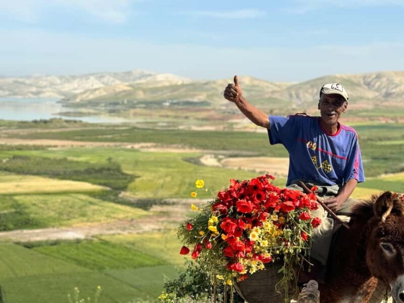 Fes to Middle Atlas Private Day Trip - Who Will Love This Tour?