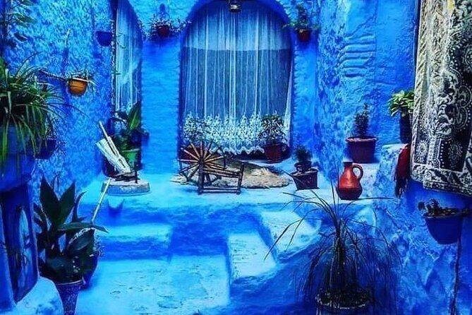 Fes to Tangier via Chefchaouen or the opposite side - PRIVAT TOUR - The Itinerary Breakdown: What’s in Store