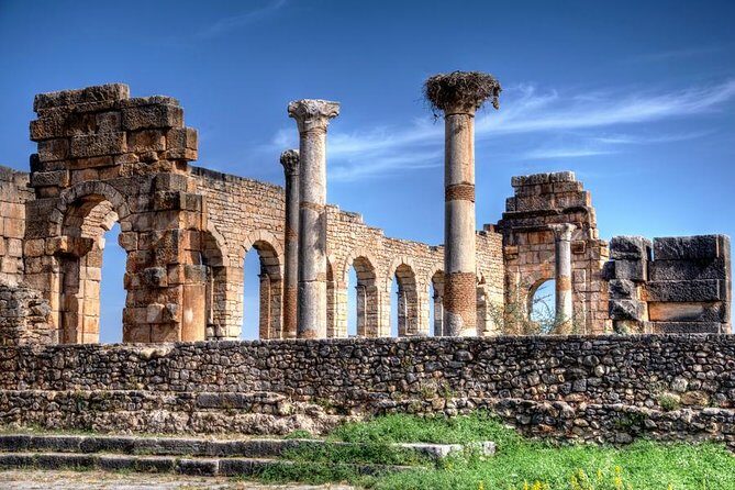 Fes to volubilis day trip - Exploring the Itinerary: What to Expect