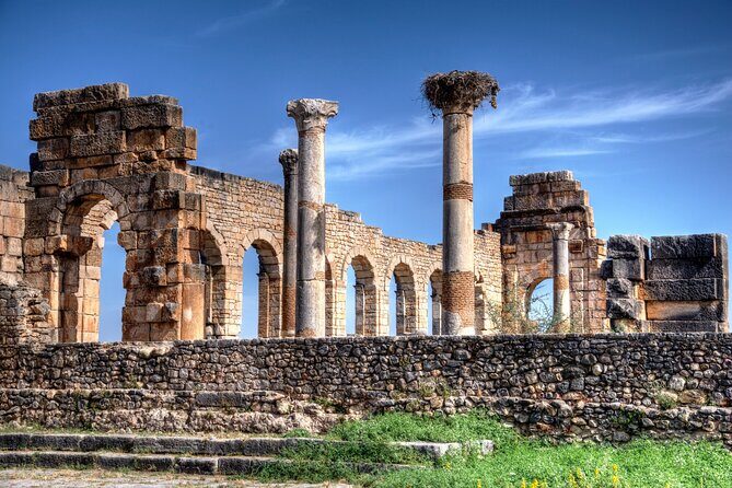 Fes to Volubilis, Moulay Idriss and Meknes Private Day Trip - Final Thoughts: Who Will Love This Tour?