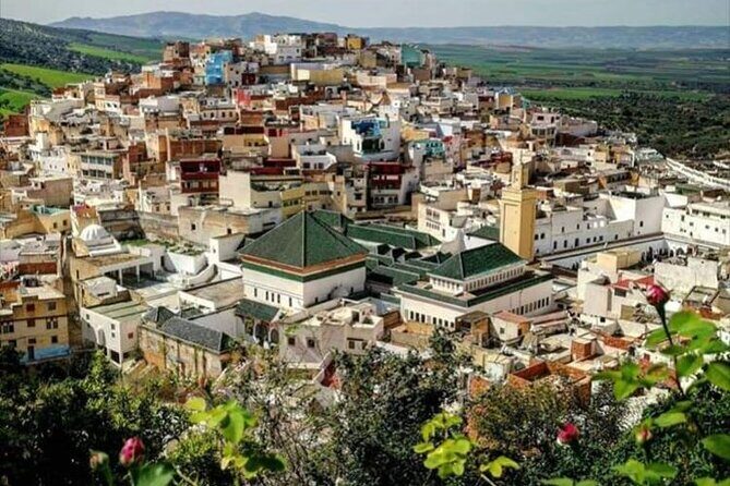 Fès to Volubilis, Moulay Idriss and Meknès Private Day Trip - Discovering the Highlights of the Trip
