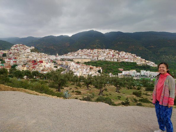 Fes to Volubilis, Moulay Idriss and Meknes Private Day Trip - Practical Details and Value