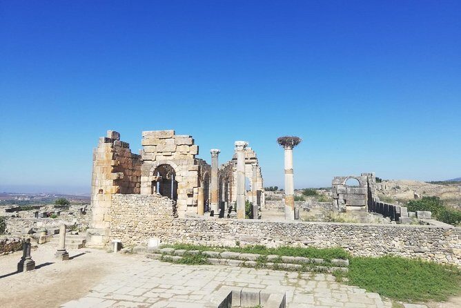 Fes to Volubilis, Moulay Idriss and Meknes Private Day Trip - Final Thoughts