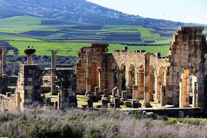 Fes to Volubilis, Moulay Idriss and Meknes private day trip - Who Should Consider This Tour?
