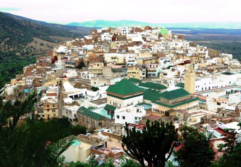 Fes: Volubilis Roman Ruins, Mouly Idriss, & Meknes Day Trip - Who Would Love This Trip?
