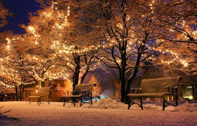 Festive Christmas Walking Tour in Paphos - Exploring the Paphos Christmas Magic