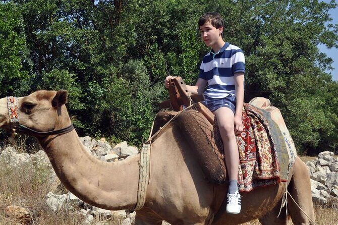 Fethiye Camel Riding at Gosht Town - An Overview of the Camel Riding Experience in Gosht Town
