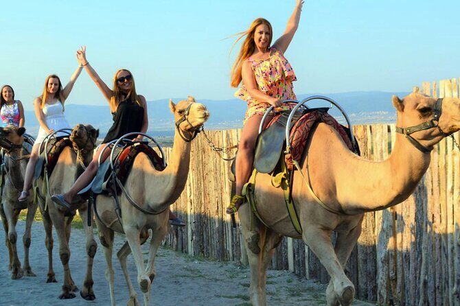 Fethiye Camel Riding at Gosht Town - What to Expect on the Day