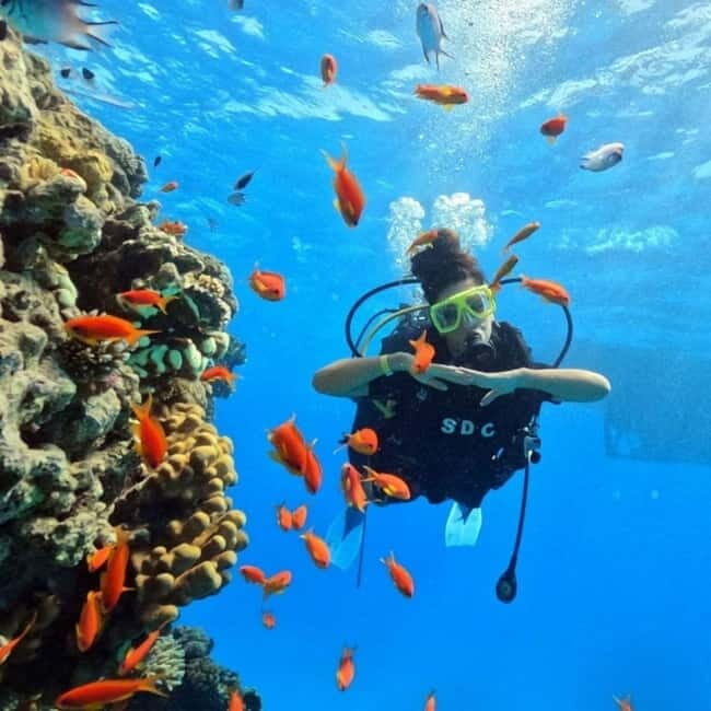 Fethiye: Fly and Dive, Paragliding and Scuba Diving Together, Transfer Included - Key Points