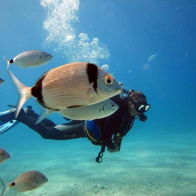 Fethiye: Fly and Dive, Paragliding and Scuba Diving Together, Transfer Included - What’s Included and What to Consider