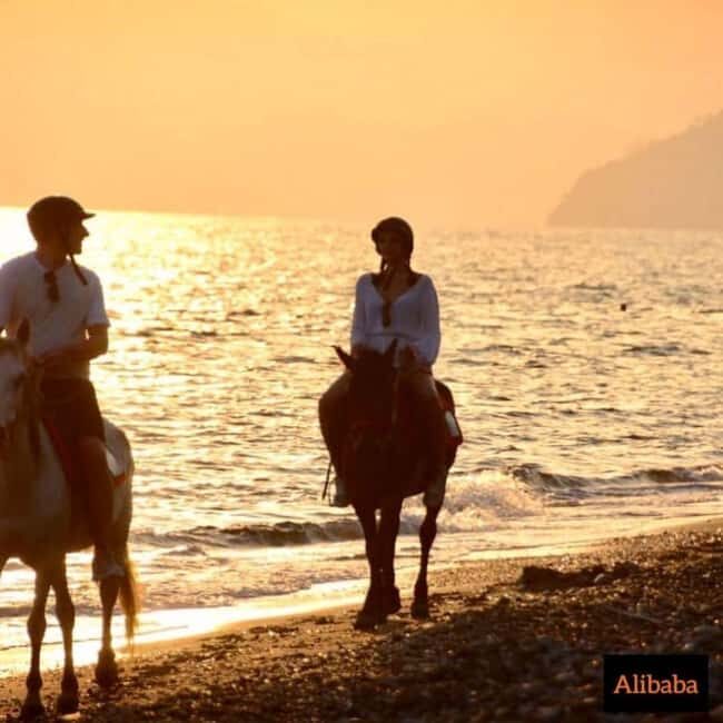 Fethiye Horse Riding in the Sea, Botanical Forest, Beach and Coastal Horseback Riding - An Authentic Horseback Experience in Fethiye: What to Expect