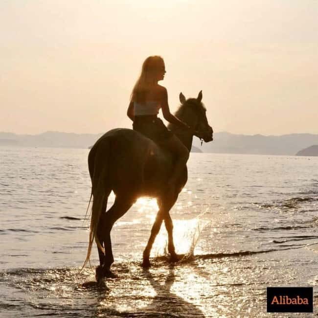 Fethiye Horse Riding in the Sea, Botanical Forest, Beach and Coastal Horseback Riding - The Value and Overall Experience