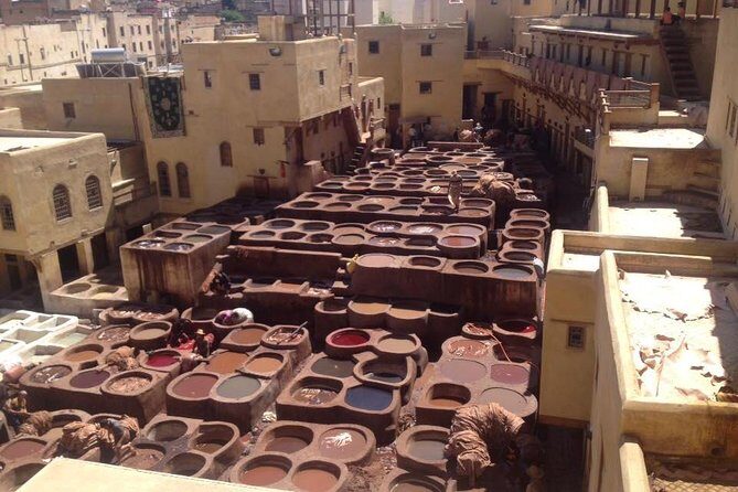 Fez day Tour with Local Guide & driver - The Sum Up