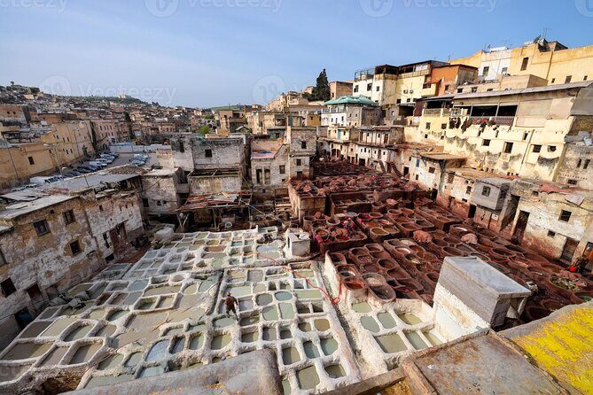 Fez Guided Tour - Potential Downsides  