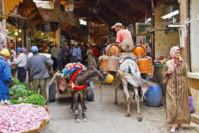 Fez in One Day: Qaraouiyine Mosque, Tanneries, Medersa & Mellah... - Final Thoughts: Is it Worth It?