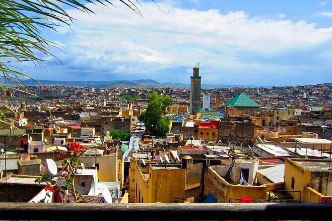 Fez medina and it's secrets : cultural tour (private) - Key Points
