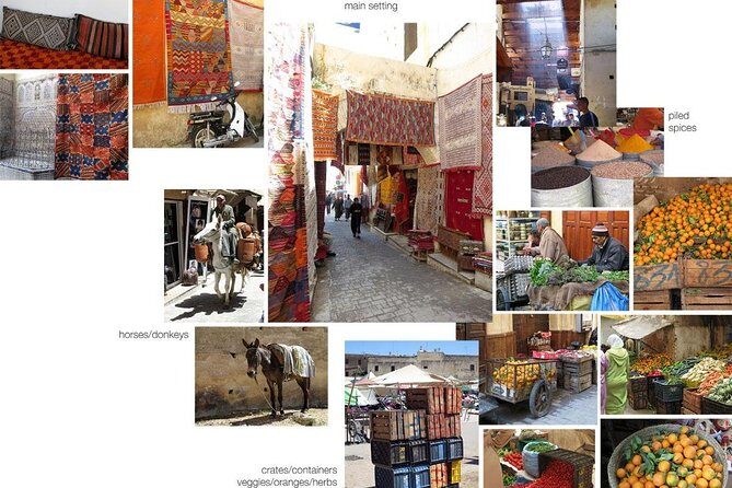 Fez Medina Guided Tour - What to Expect from the Fez Medina Guided Tour