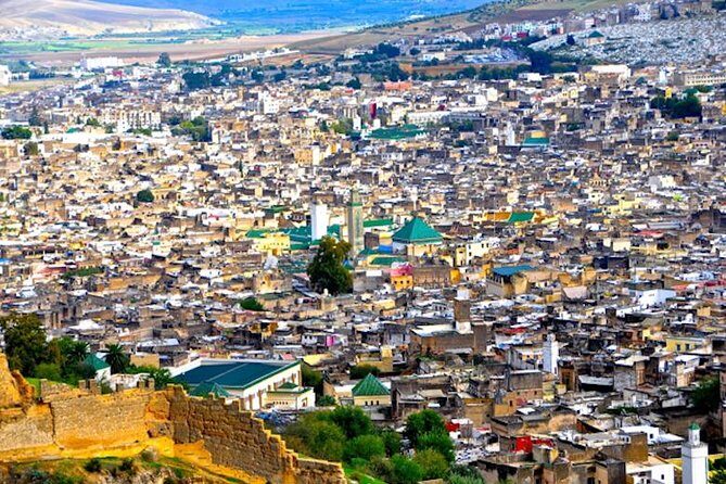 Fez Medina Guided Tour - What’s Missing? Potential Drawbacks