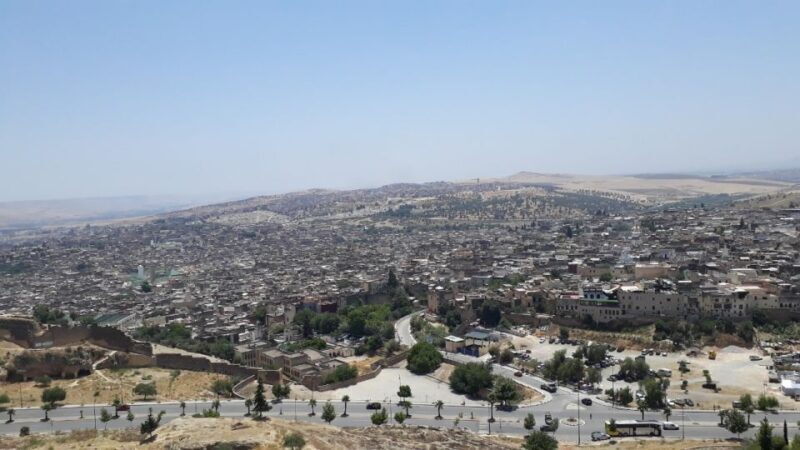 Fez Ramparts Tour: Kings Palace, Jewish Quarters, Tanneries - Final Thoughts  