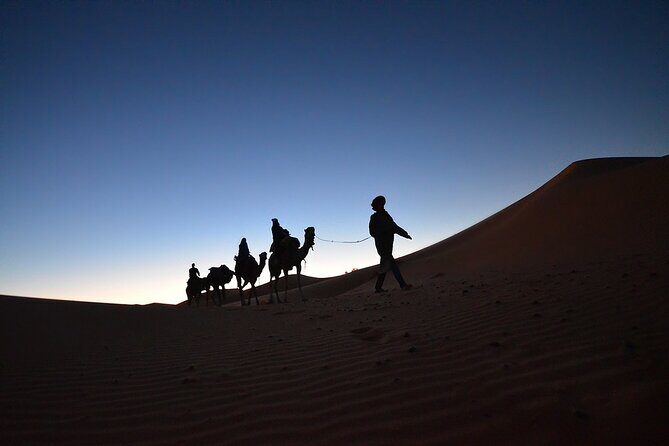 Fez to Marrakech via Merzouga Desert - 3 Day Desert Tour - The Sum Up
