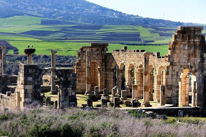 Fez to Meknes,Moulay Idriss & Volubilis Day Trip - Who Will Love This Tour?