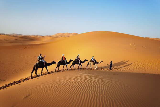 Fez to Merzouga Desert Trip camel ride and night camp - Key Points