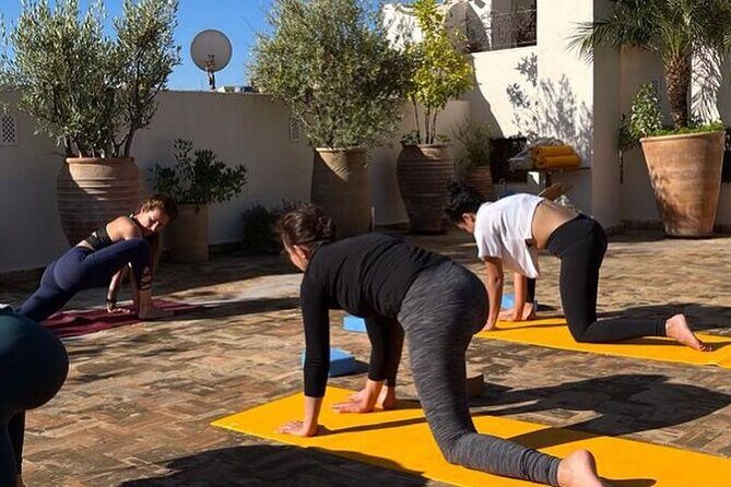 Fez Yoga class at Palais bab sahra - A Closer Look at the Experience