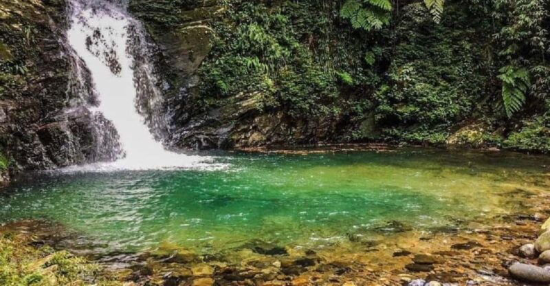 ffom-hue-tour-trekking-hue-bach-ma-national-park-daily