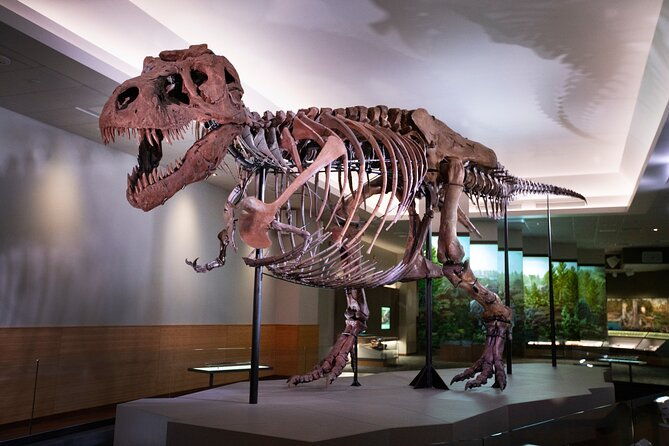 field-museum-of-natural-history-early-access-ticket