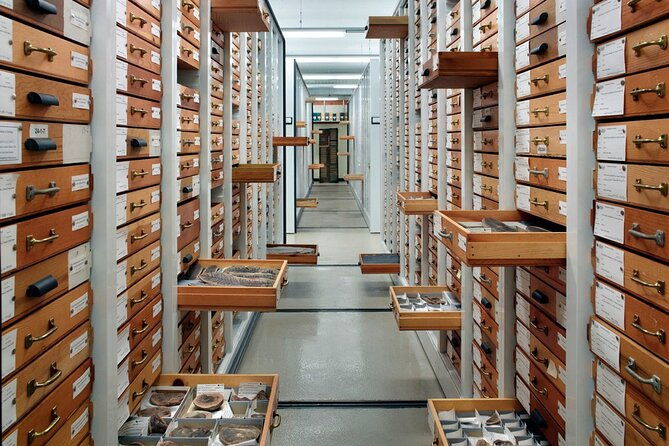 field-museum-of-natural-history-early-access-ticket