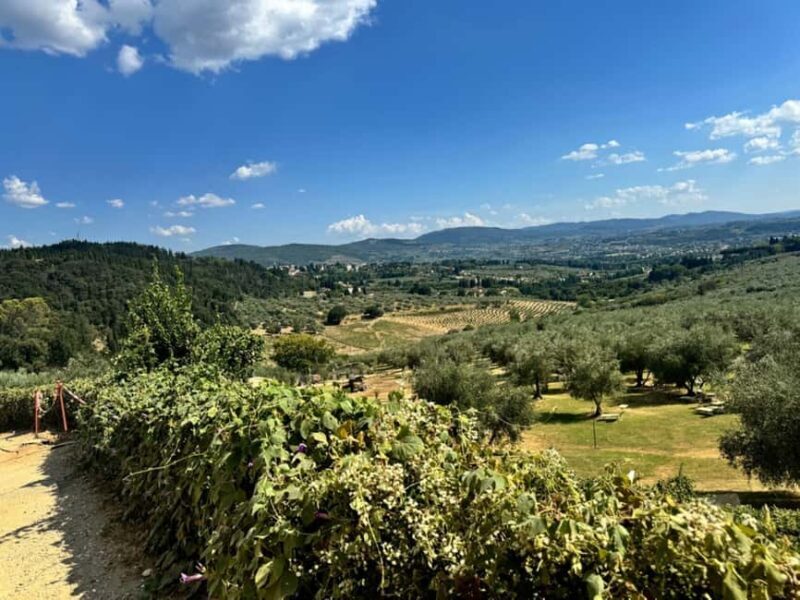 Fiesole E-Bike Tour with Olive Oil Tasting or Pool & Chill - Pool & Chill: The Perfect Afternoon Relaxation