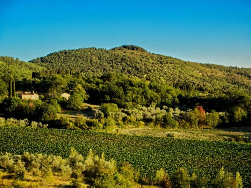 Fiesole E-Bike Tour with Olive Oil Tasting or Pool & Chill - Who Will Enjoy This Tour?