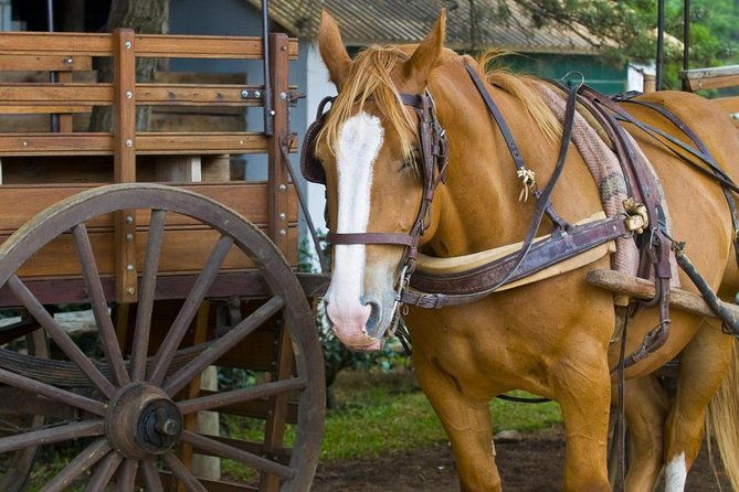 fiesta-gaucha-and-day-ranch-in-santa-susana-ranch