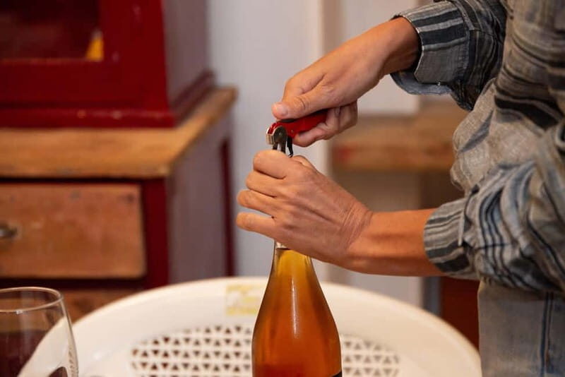 Figazzano: Wine Tasting in a Trulli Complex with a Vineyard - Exploring the Itinerary and Experience