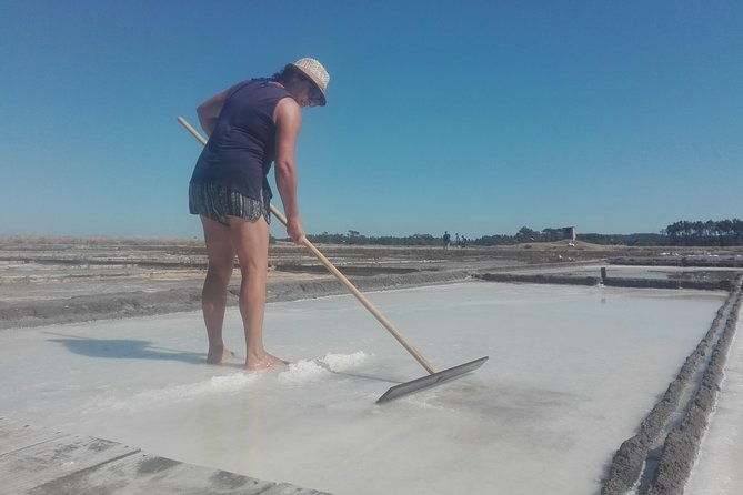 figueira-da-foz-by-rice-paddies-and-salines-half-day-from-coimbra