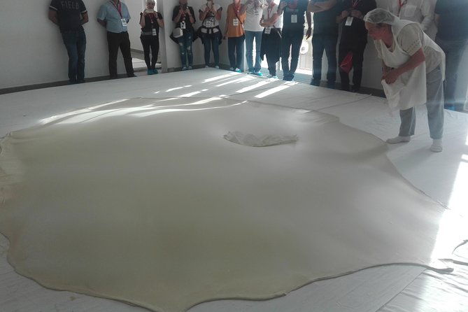 figueira-da-foz-by-rice-paddies-and-salines-half-day-from-coimbra