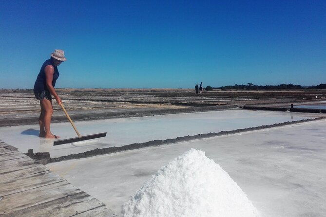 figueira-da-foz-by-rice-paddies-and-salines-half-day-from-coimbra