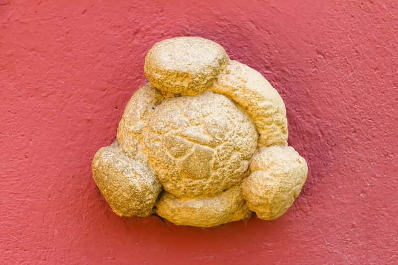 Figueres: Dalí Theater-Museum Guided Tour - Figueres: Dalí Theater-Museum Guided Tour — A Deep Dive into Surrealism in Catalonia