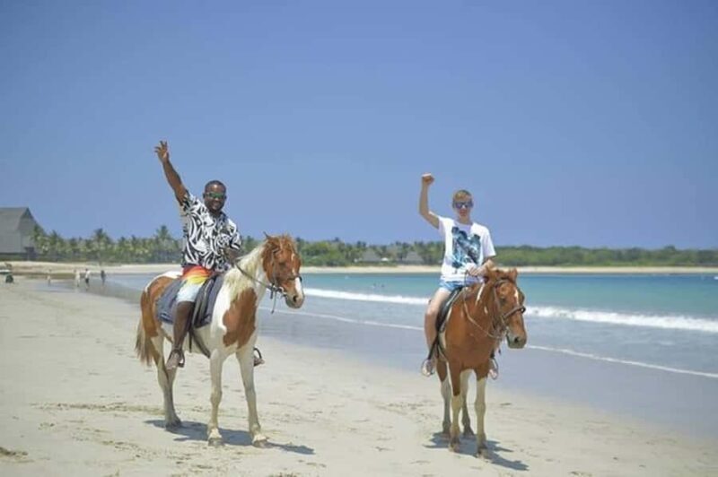 Fiji: Beach Horseback Riding Tour with Lunch and Transfer - Key Points
