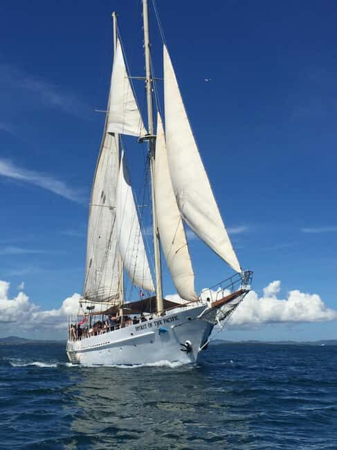 Fiji: Captain Cook Cruises - Island & Reef Day Trip - Water Adventures and Marine Life